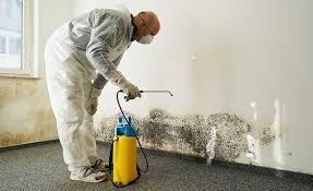 Best Attic Mold Removal  in Magnolia, MS