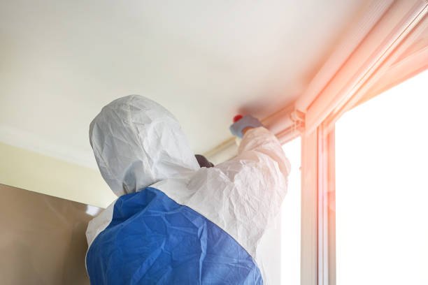 Why You Should Choose Our Mold Remediation Services in Magnolia, MS