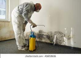 Best Mold Prevention Services  in Magnolia, MS